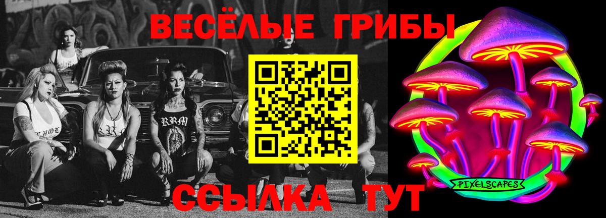 Галлюциногенные грибы Psilocybine cubensis Зеленодольск